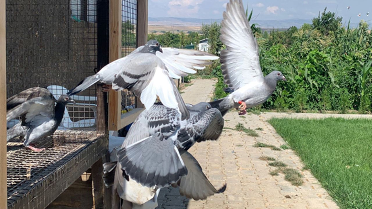 Kars'tan Eskişehir'e 1050 kilometre uçarak geri döndüler