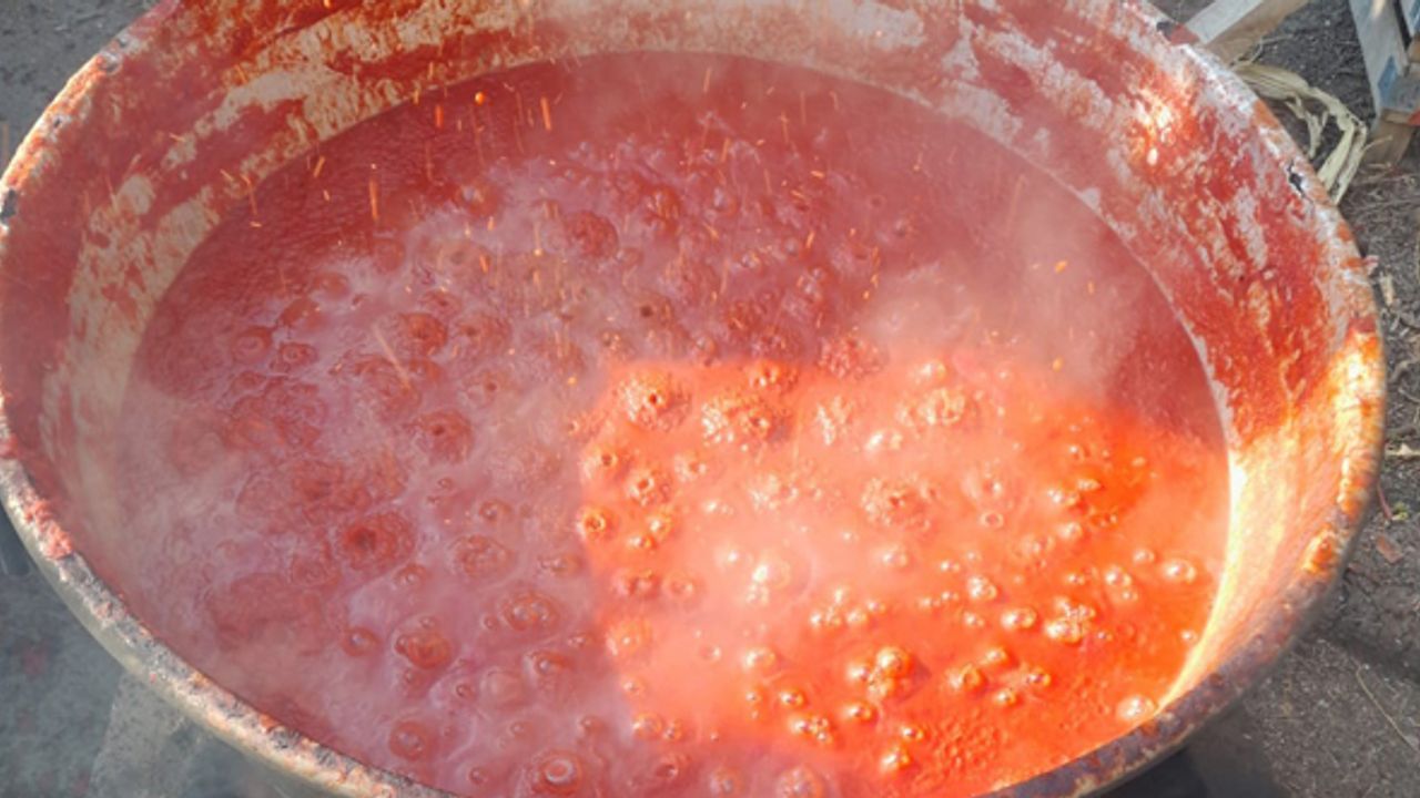 Laçin’de domates ve biberlerin salça yolculuğu başladı