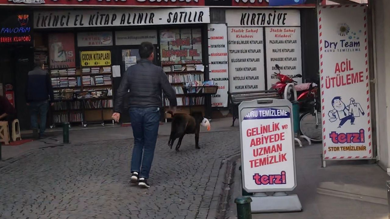 Eskişehir'de hırsız köpek pelüş oyuncak çaldı
