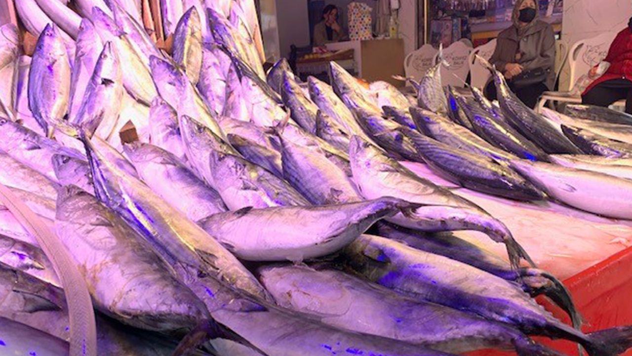 Eskişehir'de balık fiyatları yükselebilir
