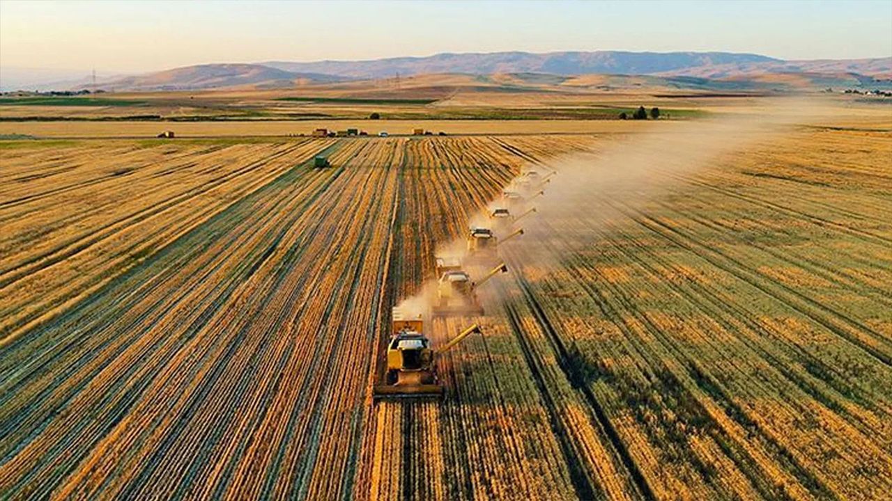 Tarım-ÜFE yıllık yüzde 71,52 arttı