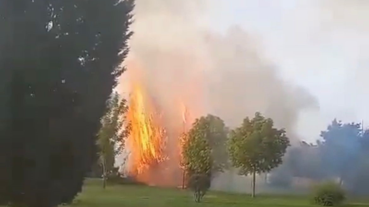 Eskişehir'de bir parkta yangın çıktı