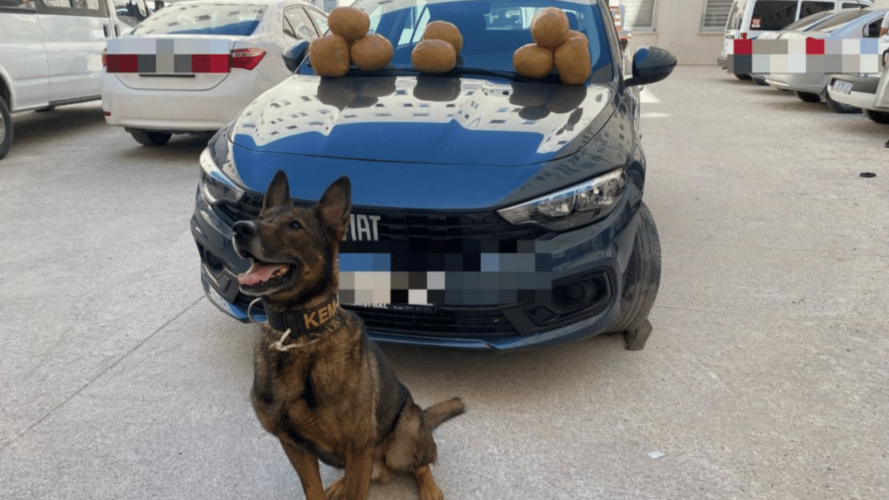 Eskişehir'de narkotik köpeği operasyona damga vurgu