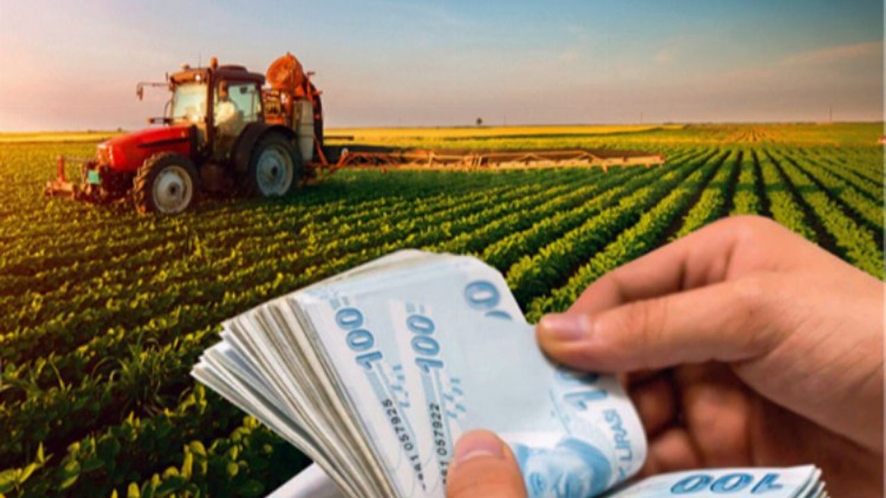 47 milyon TL'lik tarımsal ödeme hesaplara yatırılacak