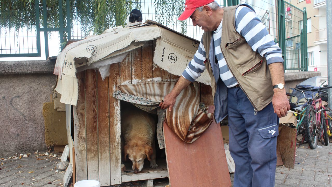 Eskişehir'de 22 senedir sokak hayvanlarını besliyor