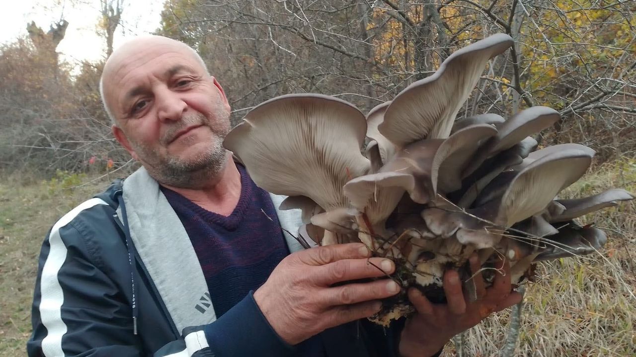 Sonbaharın gözdesi: Kanlıca mantarı yoğun ilgi görüyor