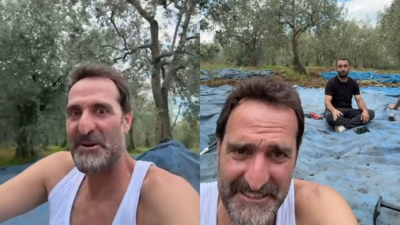 Ünlü oyuncu  zeytin üreticisi oldu: “Kimse görmeden” hasat yaptı