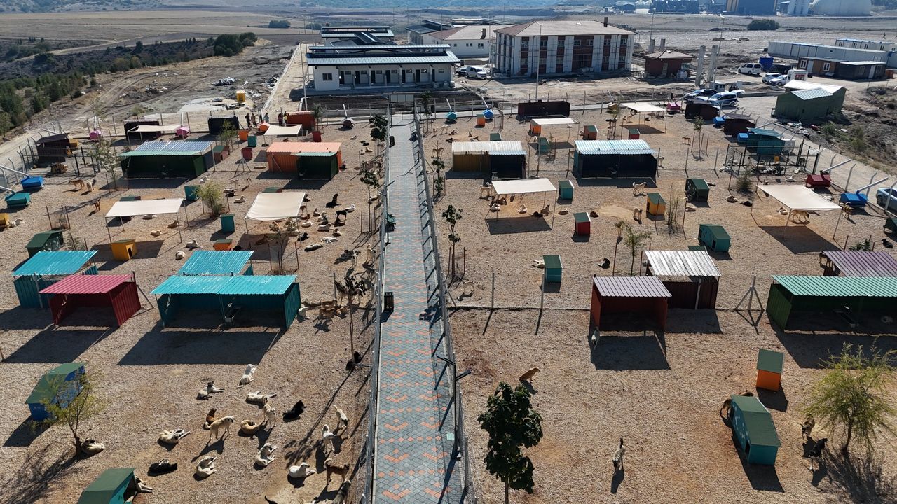 Sarısungur Mahallesi'ndeki proje sona yaklaştı