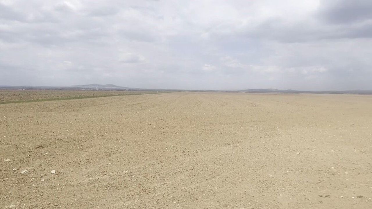 Eskişehir'de  57 varisi olan 48 dönümlük tarla usu
