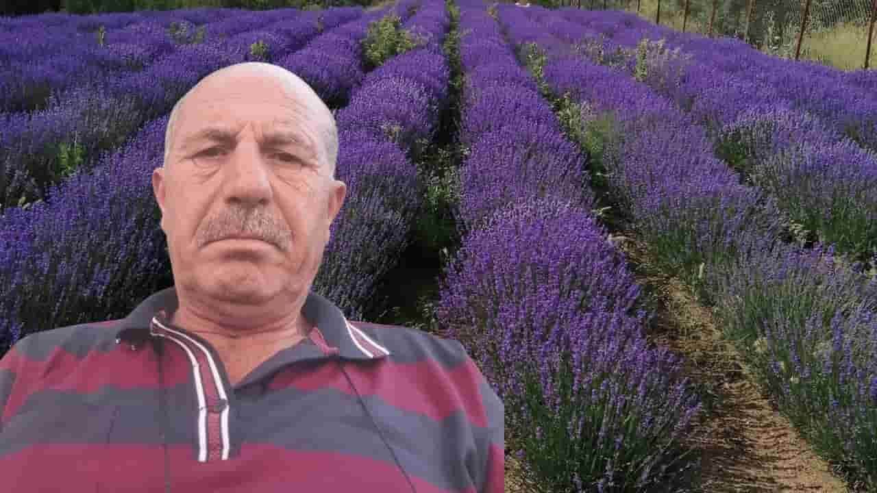 Eskişehir'de lavanta üretimine öncülük eden Muhsin