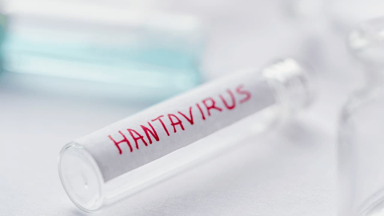 Hanta virüs yeniden gündemde: Uzmanlardan uyarı geldi