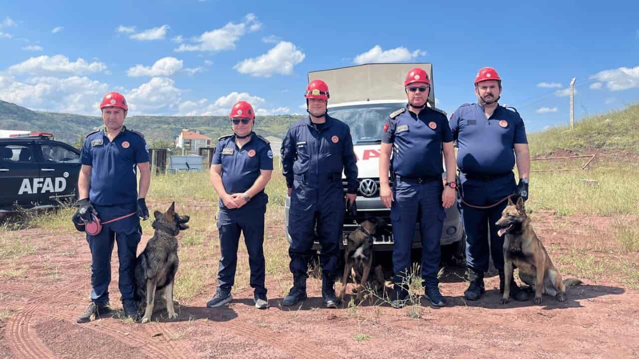 “Köpek burnunu geçebilen herhangi bir teknolojik alet şu ana