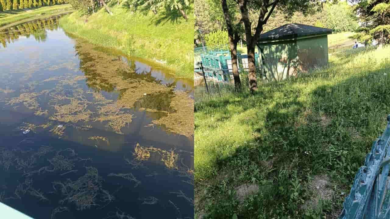 "Porsuk Çayı'nın mevcut hali Eskişehir'e yakışmıyor"