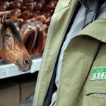 Bakanlık tek tek ifşa etti! Vatandaşa 'at ve eşek eti' yedirdiler