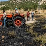 Eskişehir yolunda orman yangını