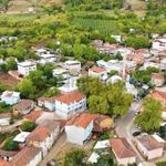 Kadınlar köyün yönetimini ele geçirdi: Erkek sinek bile uçamıyor