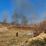 Devlet Hastanesi'ne yakın bölgede yangın