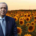 Erdoğan'ın çağrısı sonrası ektiler! Çiftçiler üretimi 2 katına çıkardı