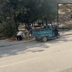 Eskişehir'deki saldırının görgü tanığı konuştu: Döner bıçağı ile...