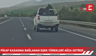 Pikap kasasına bağlanan eşek yürekleri ağza getirdi