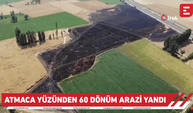 Atmaca yüzünden 60 dönüm arazi yandı