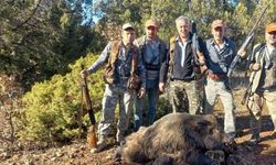 Hisarcıklı avcılar yaklaşık 350 kilo ağırlığında domuz avladı