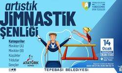 Artistik Jimnastik Şenliği