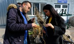 EBB, İzmir Karaburun Belediyesi’ne dut fidanı hibe etti