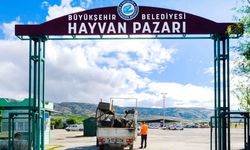 Hayvan pazarı önlem amaçlı kapatıldı