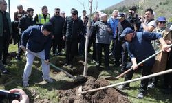 Bakan Hulusi Akar'dan doğa yürüyüşü