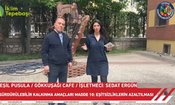 Yeşil Pusula - Gökkuşağı Cafe / Sedat Ergün