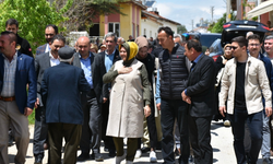 Prof. Dr. Gürcan: ''güçlü başkan güçlü meclis''