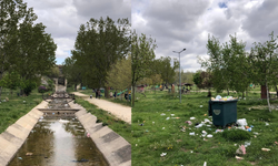DSİ, Belediye’den ‘zorla’ aldı yeşil alanı çöplüğe çevirdi!