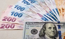 Dolar/Türk Lirası kuru 25 TL'yi aştı