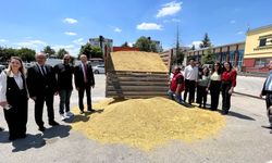 Eskişehir'de ilk mahsule rekor fiyat
