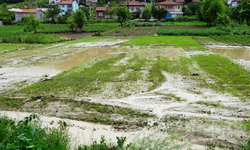 Sağanak yağış sonrası tarım arazileri sular altında kaldı