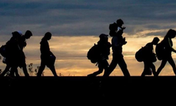 Uluslararası Göç Örgütü verileri açıkladı: En fazla mültecinin yaşadığı ülke Türkiye oldu