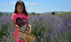 Aromaterapide şifa yolculuğu başlıyor