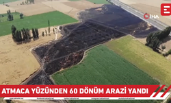 Atmaca yüzünden 60 dönüm arazi yandı