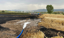 Yenipazar'da ekin tarlarında peş peşe yangın