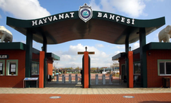 Eskişehir Hayvanat Bahçesi bilet fiyatı pahalı bulundu!