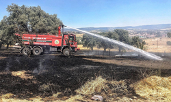 Kütahya'da tarla yangını