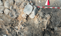 Arkeologlar şaşırtan kalıntılar buldu