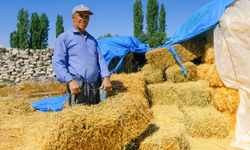 Bakan Yumaklı müjdeyi verdi: Çiftçilere 406 milyon TL