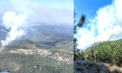 Orman yangını çıktı 3,5 hektarlık alan küle döndü