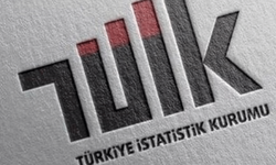 TÜİK açıkladı: Eskişehir'de ihracat ve ithalat arttı