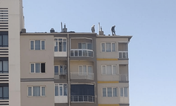 Cengiz Topel'de tehlikeli çatı tamiri