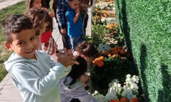 Emirdağ'da çocuklar doğayla iç içe büyüyor
