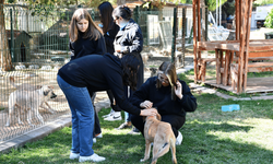 Öğrencilerden sokak hayvanları için anlamlı bağış