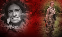MİT'ten nokta operasyon! PKK'nın sözde sorumlusu yakalandı